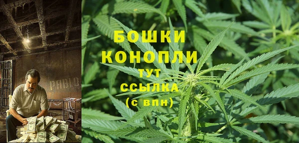 ГАЛЛЮЦИНОГЕННЫЕ ГРИБЫ Верхнеуральск