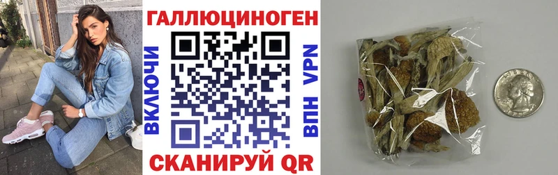 Псилоцибиновые грибы MAGIC MUSHROOMS Плёс